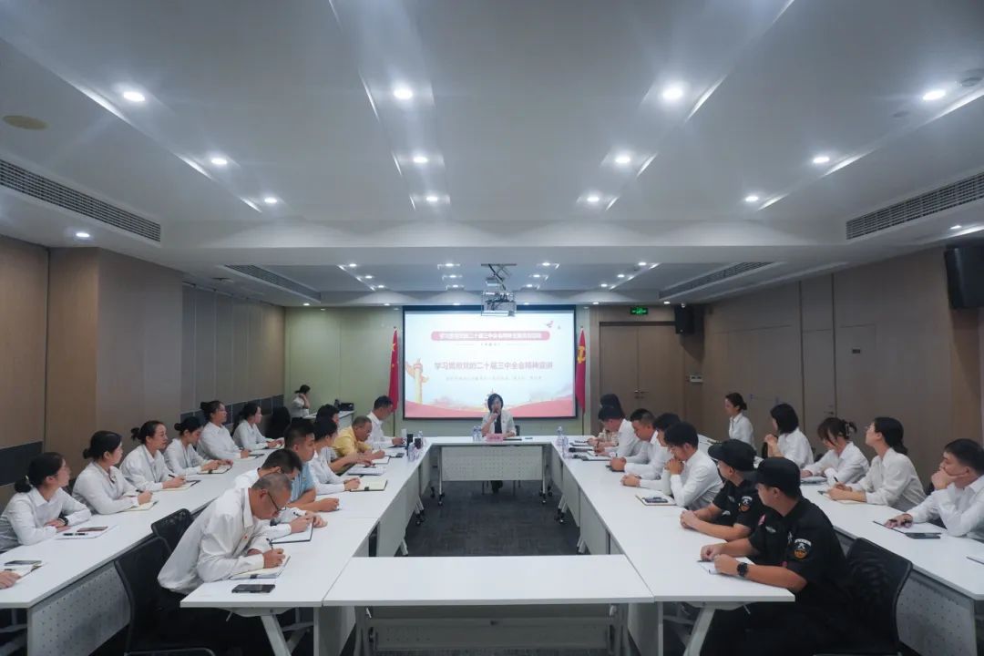 党建引领丨学习贯彻党的二十届三中全会精神主题党日活动